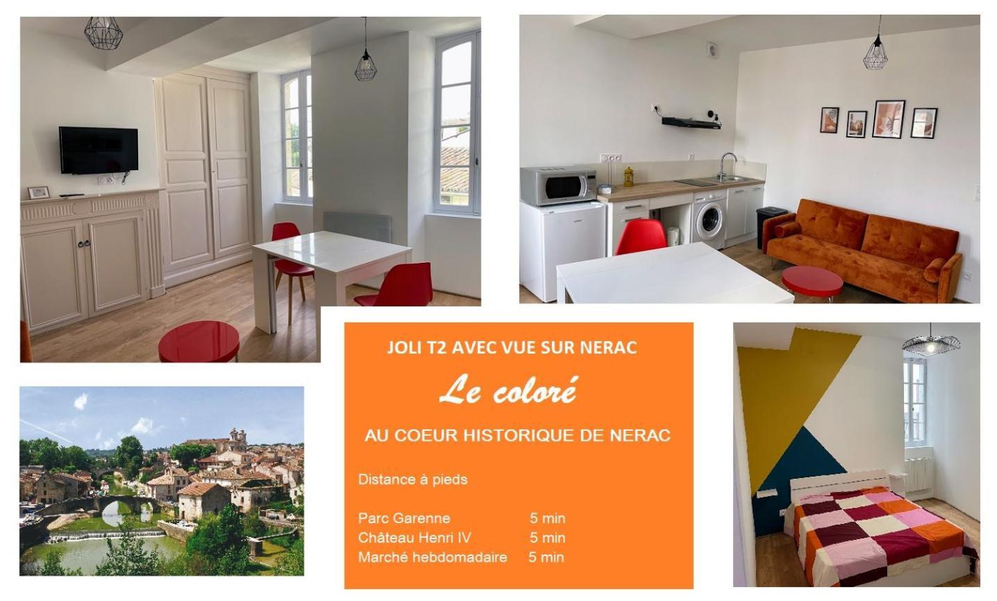 Le Colore- T2 Confortable Avec Vue Sur Nérac Екстериор снимка